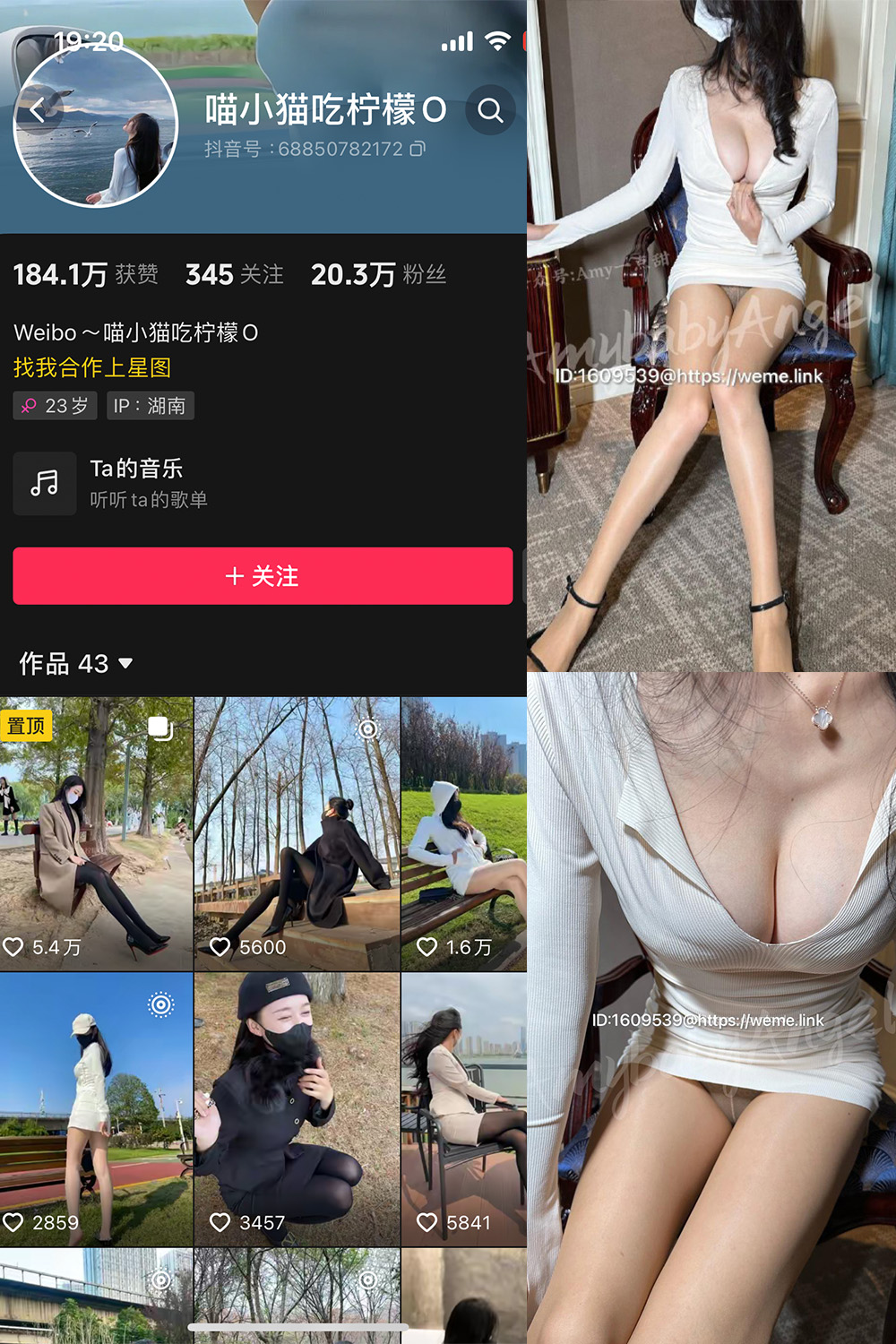 抖音 喵小猫吃柠檬 微密圈  NO.006期 【56P】(抖音爱吃的小猫)插图