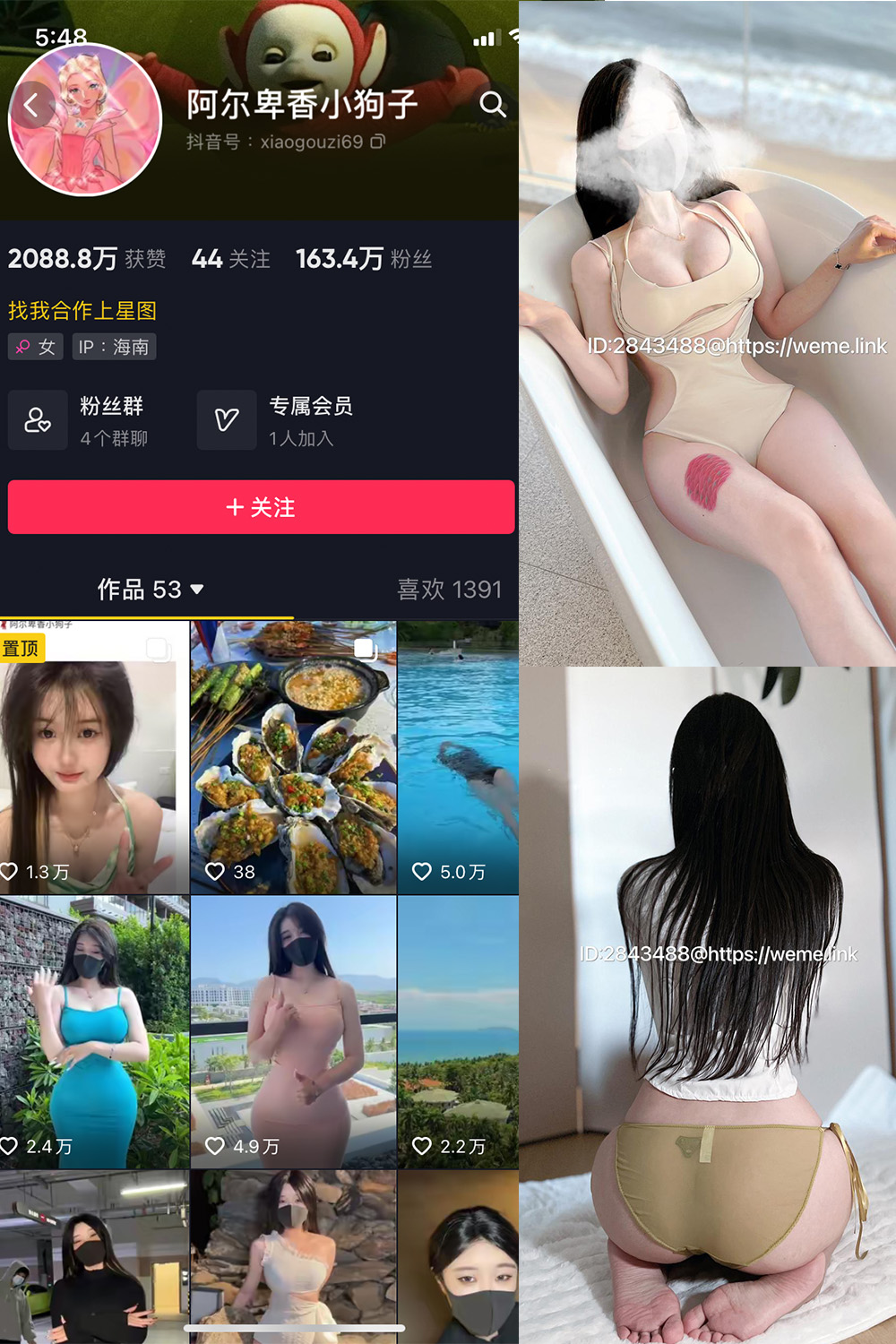 抖音 阿尔卑香小狗子 微密圈  NO.013期 【46P】最新至：2023.7.31(抖音阿尔卑香小狗子维密圈免费)插图